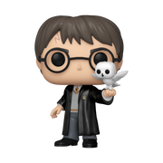 Harry Potter - Harry Potter With Hedwig (Pop! Vinyl)
