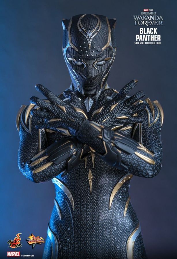 Black Panther 2: Wakanda Forever - Black Panther 1:6 Scale Collectable Action Figure