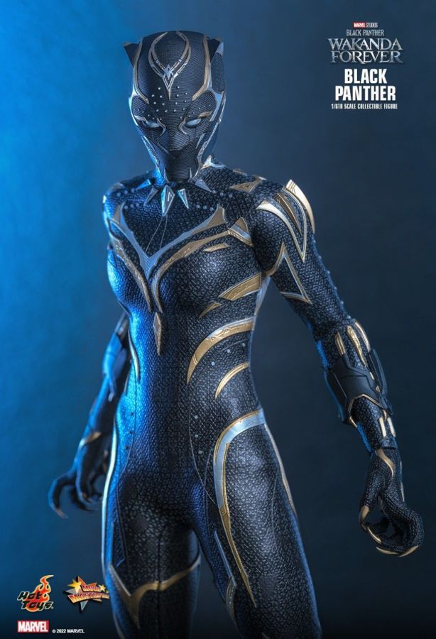 Black Panther 2: Wakanda Forever - Black Panther 1:6 Scale Collectable Action Figure
