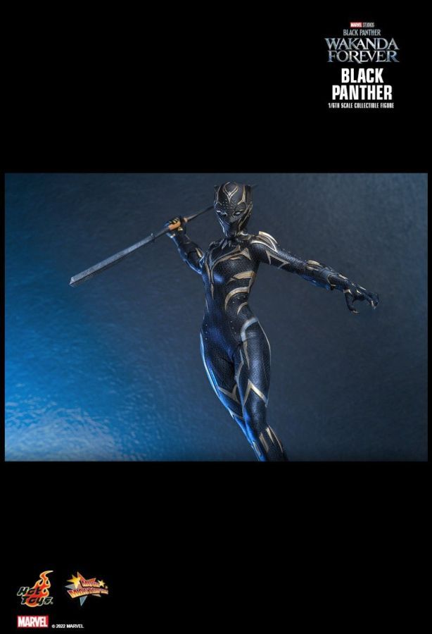 Black Panther 2: Wakanda Forever - Black Panther 1:6 Scale Collectable Action Figure