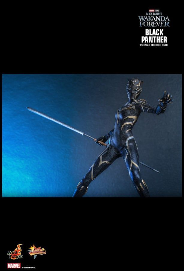 Black Panther 2: Wakanda Forever - Black Panther 1:6 Scale Collectable Action Figure