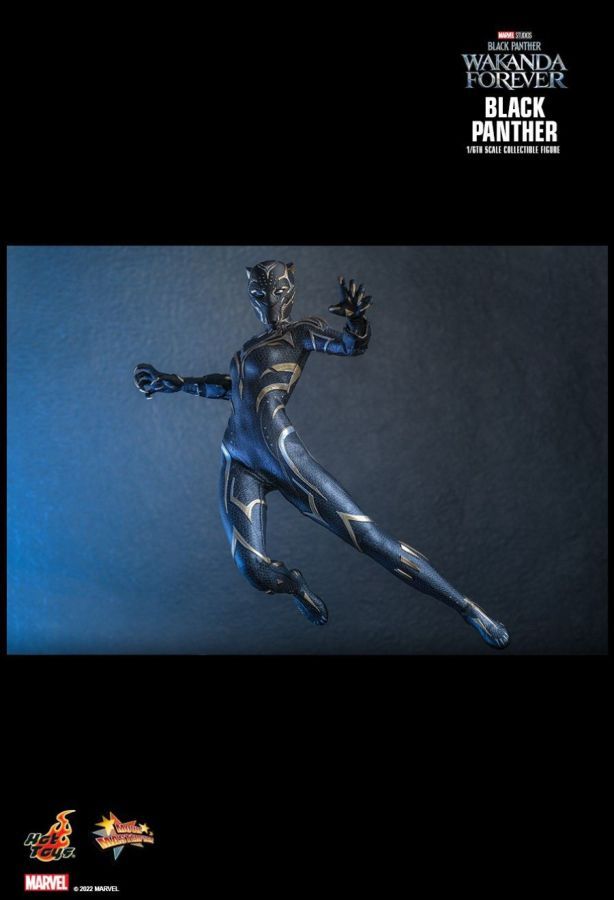 Black Panther 2: Wakanda Forever - Black Panther 1:6 Scale Collectable Action Figure