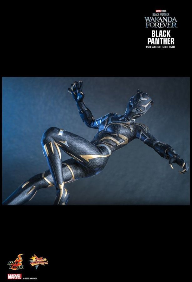 Black Panther 2: Wakanda Forever - Black Panther 1:6 Scale Collectable Action Figure