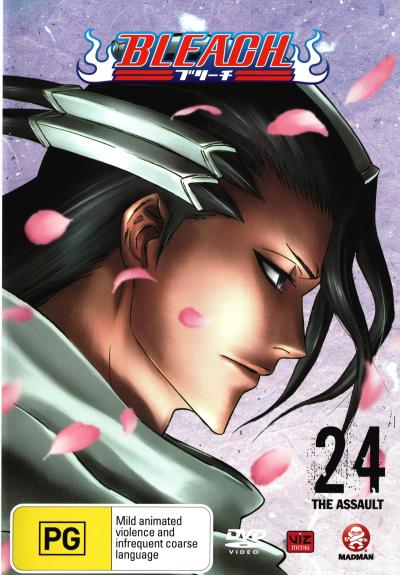 Bleach Volume 24 DVD