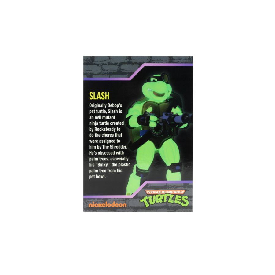 Teenage Mutant Ninja Turtles (comics) - Slash GW 5″ BST AXN Figure
