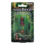 Wardlings - Boy Wizard & Imp Pre-Painted Minis