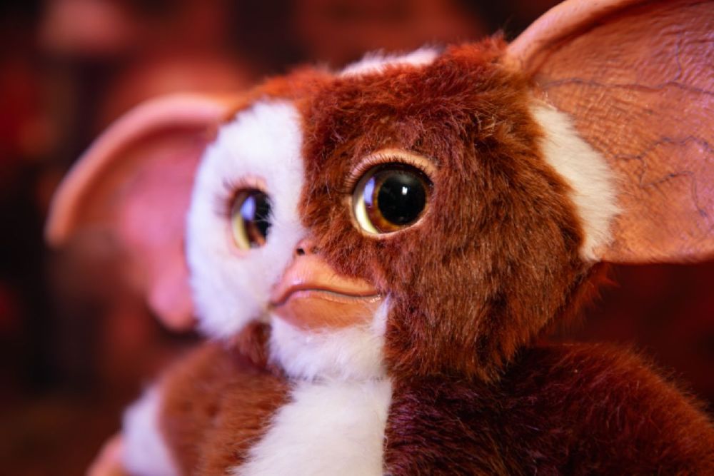 Gremlins - Replica Mogwai box and Gizmo plush