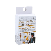 Harry Potter - Book Mystery Pin Blind Box