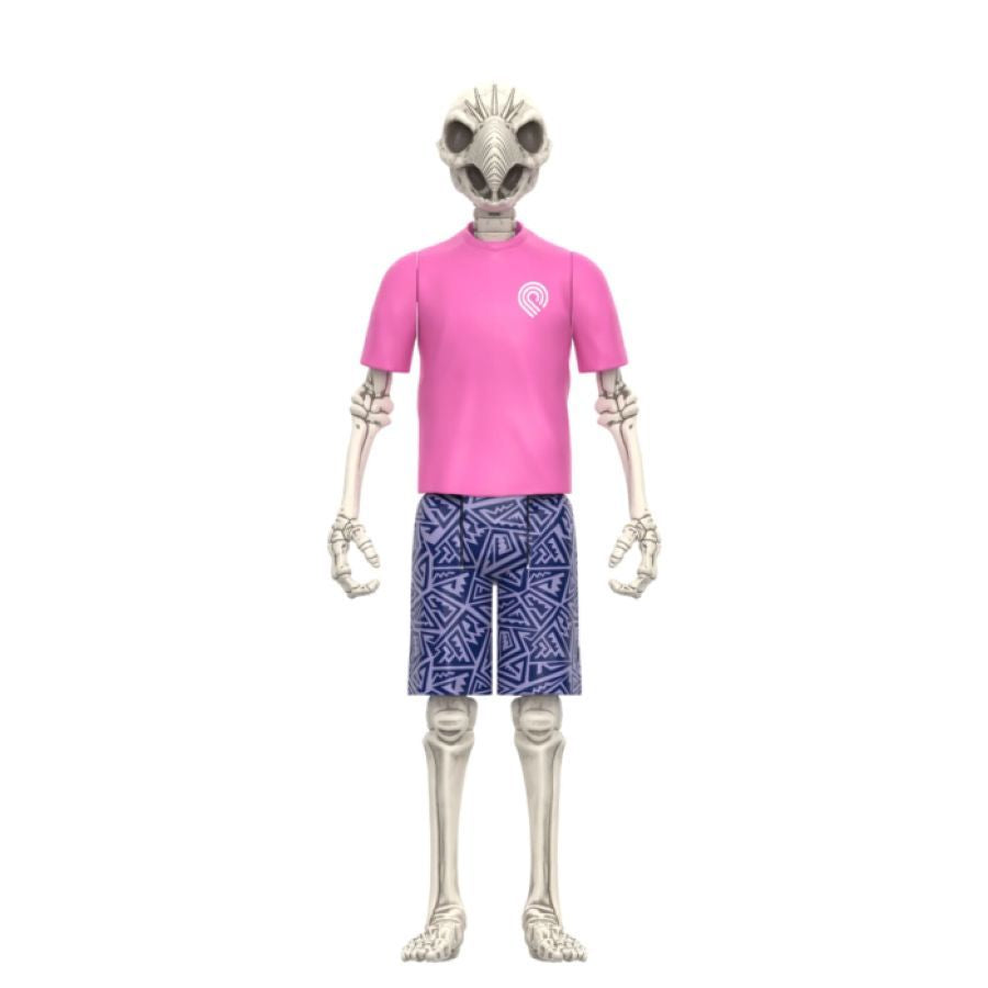 Powell Peralta - Tony Hawk [Mt. Trashmore ’85] ReAction 3.75″ Action Figure [Wave 5]